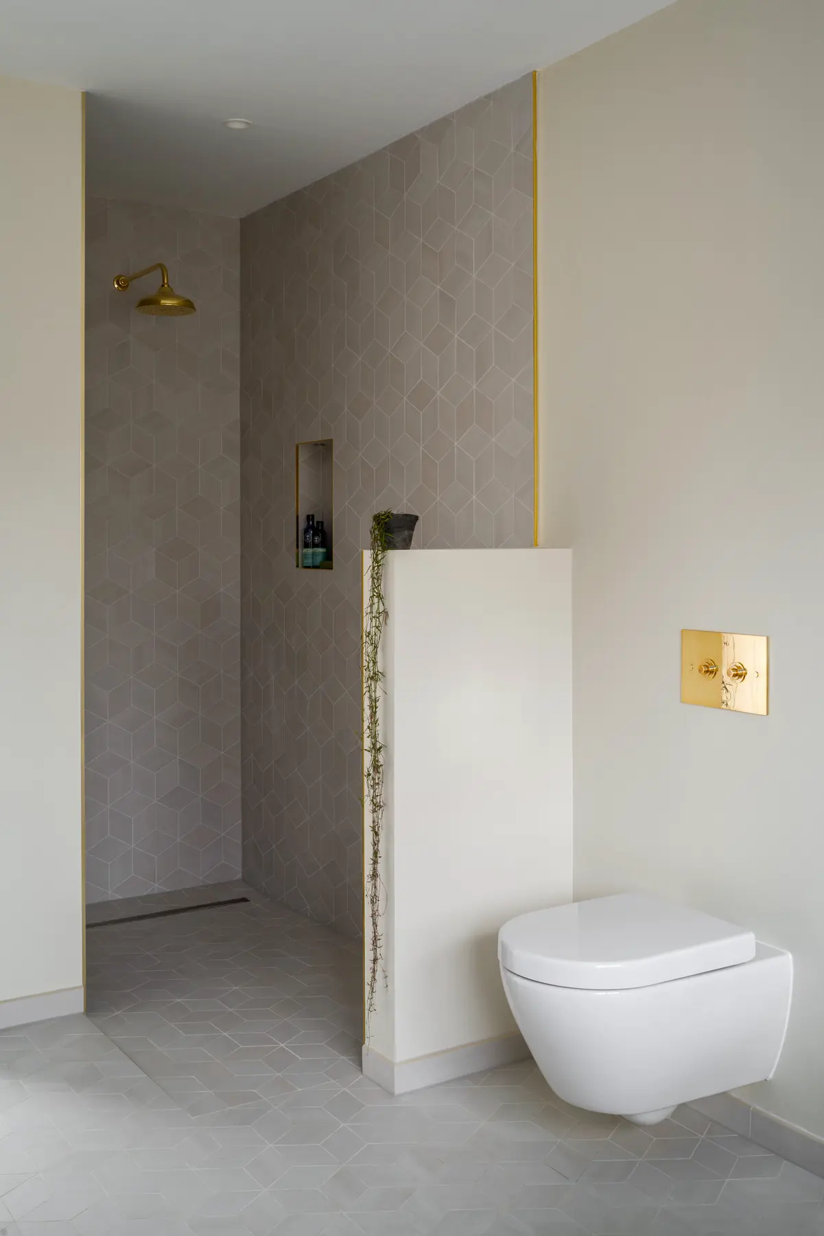 Web_HHIDesign_Cheshire_Newbuild_Walkthrough bathroom shower and toilet © ZAC and ZAC